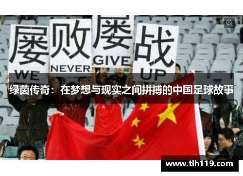 绿茵传奇：在梦想与现实之间拼搏的中国足球故事