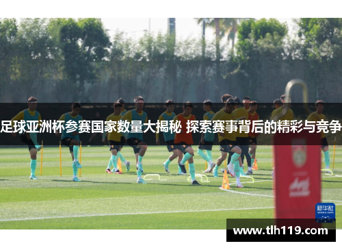 足球亚洲杯参赛国家数量大揭秘 探索赛事背后的精彩与竞争